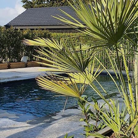 Pine Cottage- 5 Minutes Francorchamps - Charme -Piscine-Calme-Jardin Sart  Buitenkant foto