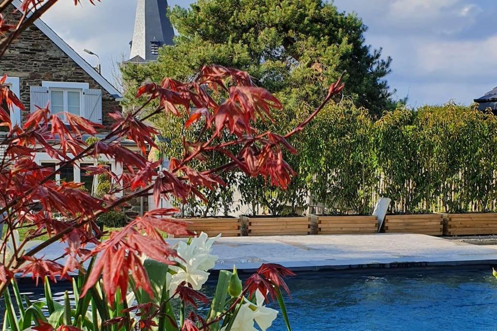Pine Cottage- 5 Minutes Francorchamps - Charme -Piscine-Calme-Jardin Sart  Buitenkant foto