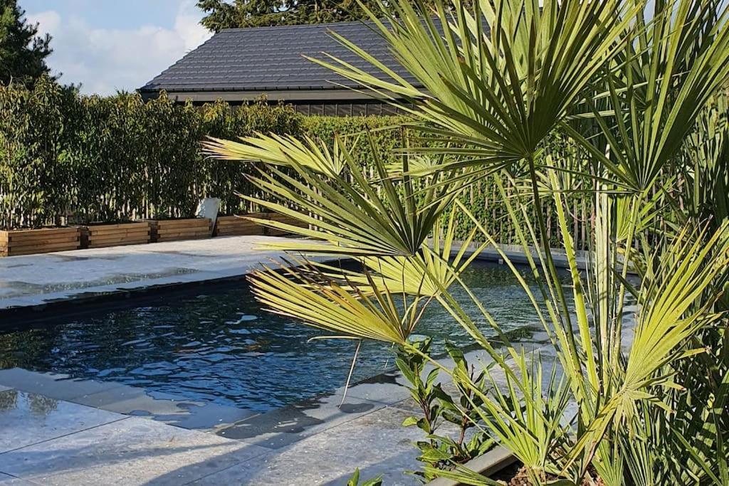 Pine Cottage- 5 Minutes Francorchamps - Charme -Piscine-Calme-Jardin Sart  Buitenkant foto
